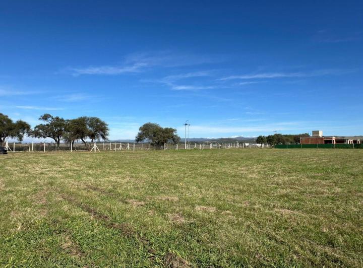 Terreno · 2250m²