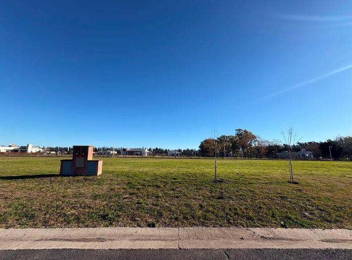 Terreno · 1002m²