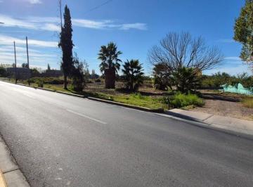 Campo · 6ha · Venta Finca 5,8 Ha Corralitos Guaymallen
