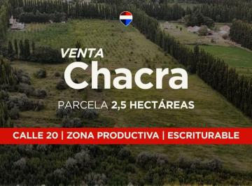Campo · 3ha · Venta Chacra 2,5has, Calle 20 Centenario - Neuquén
