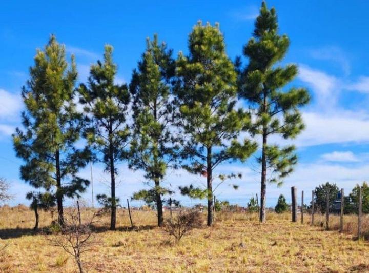 Terreno · 400m²