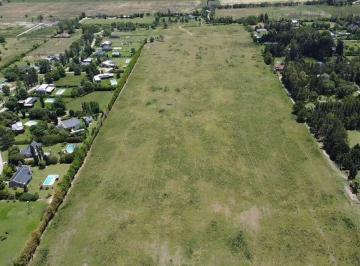 Campo , Exaltación de la Cruz · 12 Ha en Venta | Zonificación Xrebb | Pavón, Exaltación de La Cruz
