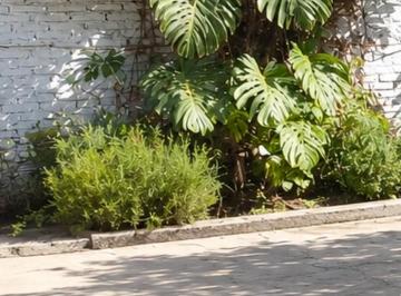 Terreno · 15m² · 1 Cochera - Javier Uncos · Vendo o Permuto Terreno + Cochera - San Martín