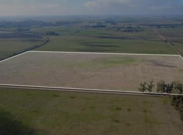 Campo , Suipacha · Campo 32 Ha en Venta en Suipacha – a 1,7 Km de Ruta 5