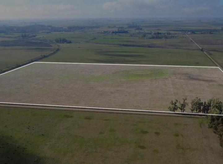 Campo · 32ha