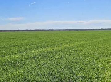 Campo · 32ha · Venta - Campo de 32 Ha de Suelo Mixto - Piñero