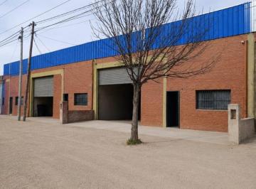 Bodega-Galpón · 300m² · 2 Ambientes · Oportunidad de Venta de Galpones