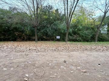 Terreno · 3018m² · Terreno Amplio en Pontevedra - Venta - Entorno Tranquilo