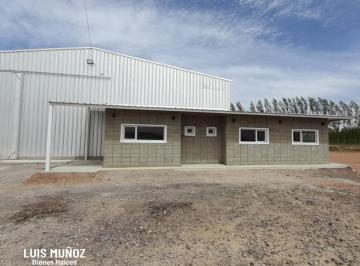 Bodega-Galpón · 600m² · Galpón en Añelo