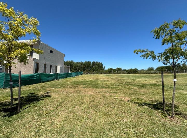 Terreno · 537m²