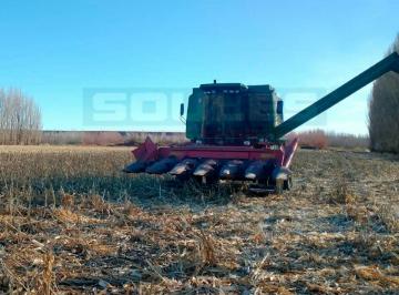 Campo , San Patricio del Chañar · Soules Vende Campo