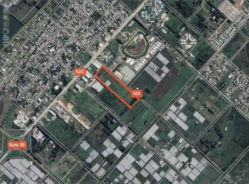 Campo · 57863m² · 6 Hectáreas Sobre 520 y 184 Melchor Romero