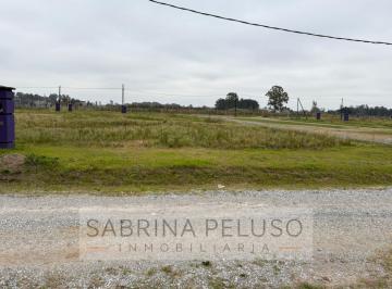 Terreno · 525m² · Lote en Venta en Barrio Privado Dionisio – Excelente Ubicación