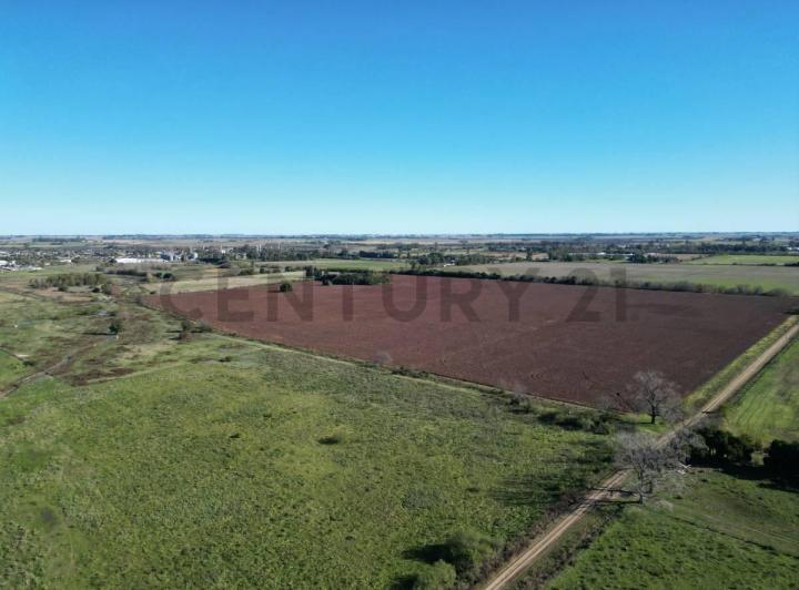 Campo · 37m²