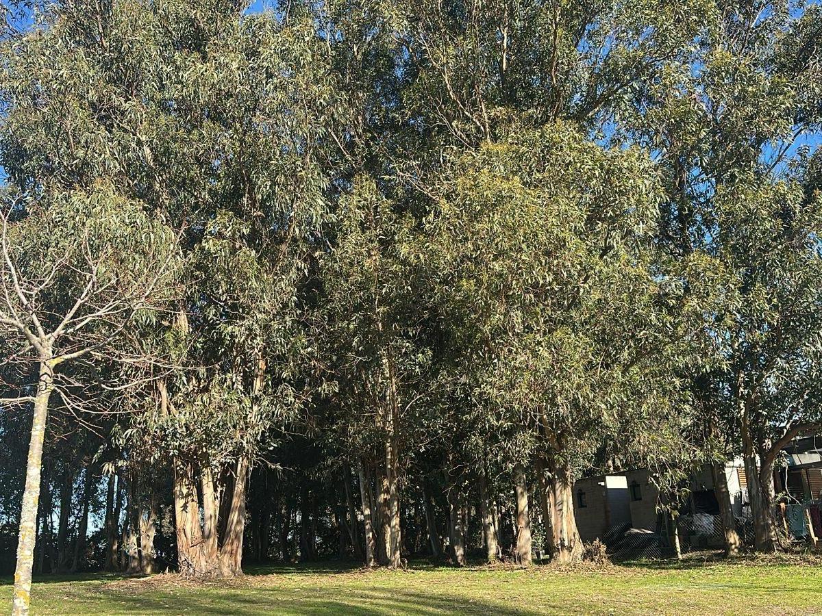 Lote en venta en Arenas del Sur, 642m²