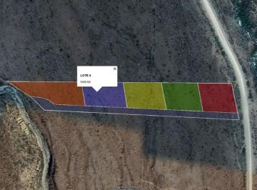 Lote 4 de 5000m2 · Lote 5000 m² Camino a Vallecitos (Potrerillos)
