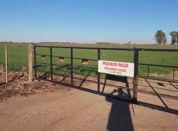 Campo , Laguna Larga · Campo en Alquiler en Laguna Larga