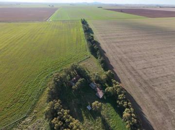 Campo · 600000m² · 60 Ha Coronel Falcon