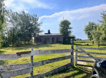 Campo · 100ha · Campo de 3,5 Ha C/ Casa en Alquiler en San Vicente