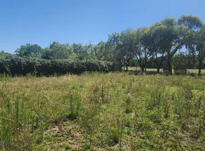 Terreno · 2500m²