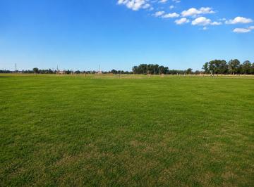 Terreno · 1002m² · Lote en Venta Fincas de San Vicente Laguna