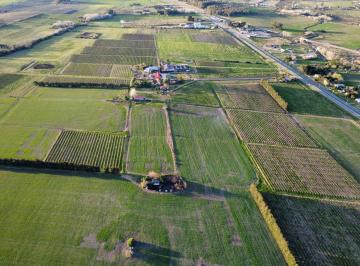 Campo · 300ha · Venta Predio Rural 3hás. Sobre Ruta 5 con Chalet