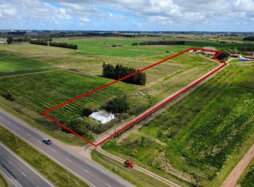Campo · 300ha · Venta Predio Rural 3hás. Sobre Ruta 5 con Chalet