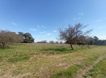 Terreno · 2557m² · Venta Terreno C. Vidal I 2.557 m² a 1 Km de Ruta 2