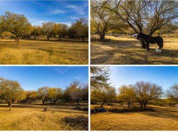 Terreno , El Trapiche · Terreno en Venta en El Trapiche, San Luis
