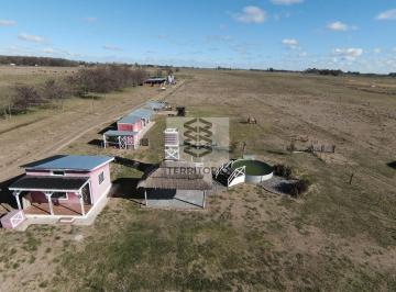 Campo · 40m² · 1 Ambiente · Campo 3 Ha en Cañuelas con Mejoras a 5 Minutos del Centro