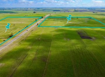Campo · 60ha · 4 Ambientes · Venta Campo en Colonia de 60,8 Hectáreas Agrícola Ganadero. Sobre Ruta. con Mejoras. Coneat 194