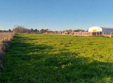 Terreno , Monte Vera · Venta. Lote 6.200 m² en Monte Vera.