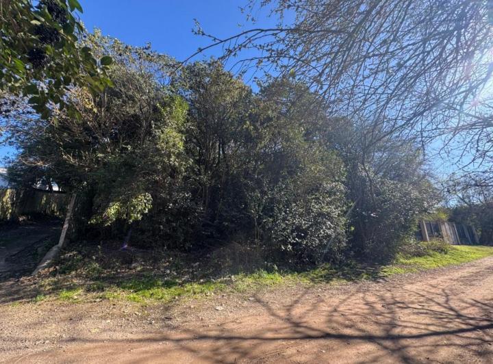 Terreno · 2478m²
