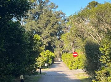 Terreno , Berazategui · Venta Terreno La Arbolada