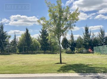 Terreno · 466m² · Permuta: Lote Perimetral en Venta. Las Tipas, Nordelta.