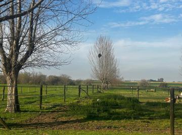 Campo · 503m² · 1 Ambiente · 20 Hectáreas Harás San Andrés de Giles