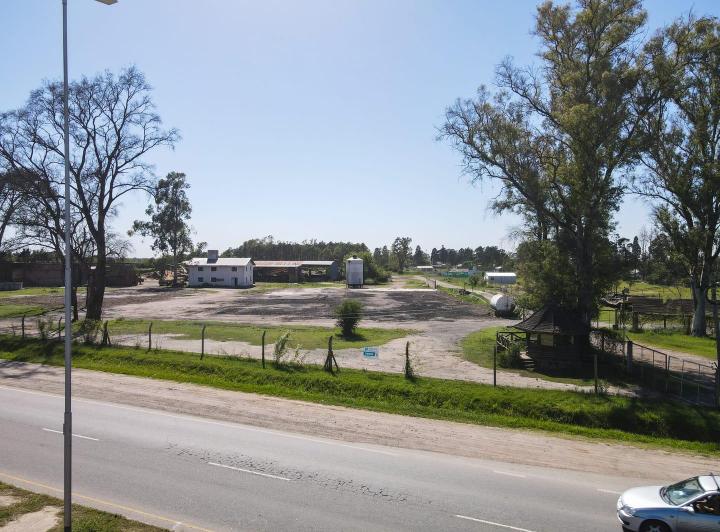Terreno · 60000m² · 1 Ambiente