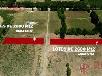 Terreno · 2600m² · Terreno a La Venta en El Primer Loteo Agro - Turístico de Senillosa