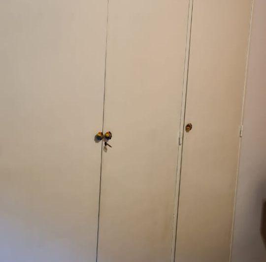 Departamento · 34m² · 2 Ambientes