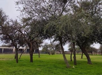 Terreno , Malagueño · Terreno a La Venta Estacion del Carmen