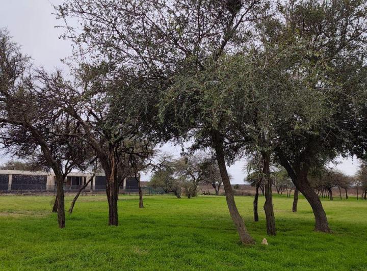 Terreno · 2348m²