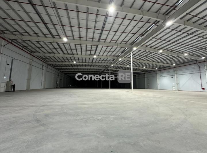Bodega-Galpón · 13500m²
