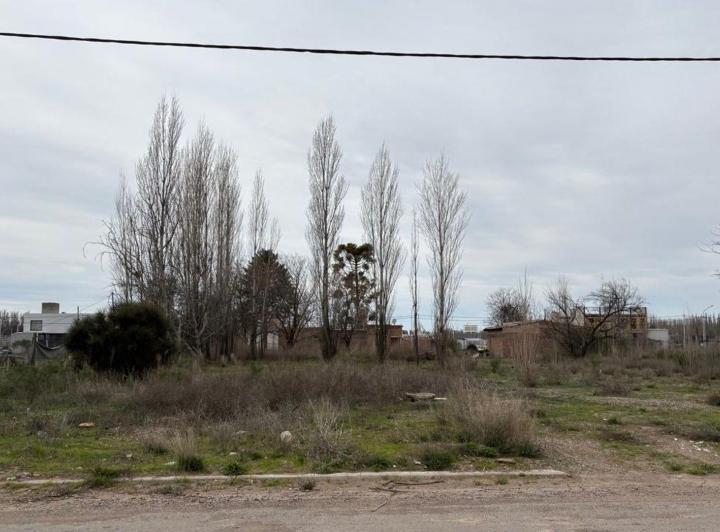 Terreno · 2500m²