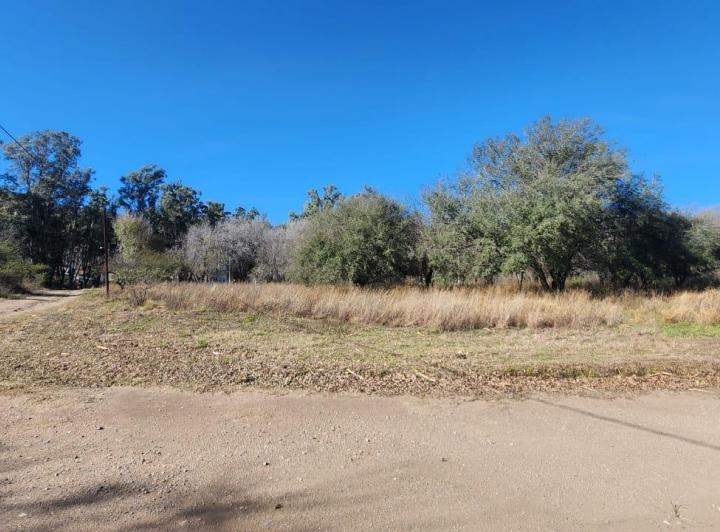 Terreno · 1173m² · 1 Ambiente