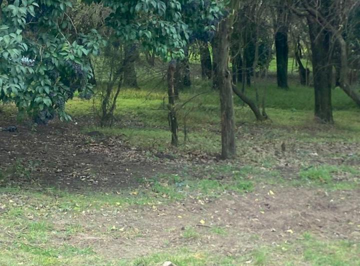 Terreno · 595m²
