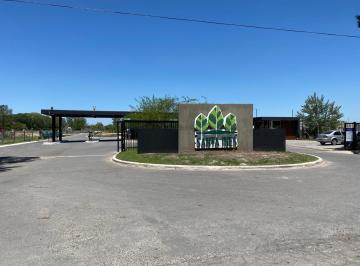 Terreno , Esteban Echeverría · Venta Lote Santa Ines Canning