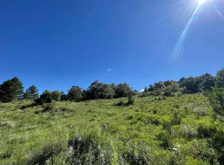 Terreno · 43500m²