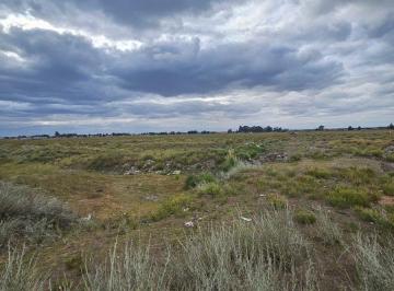 Terreno · 50000m² · Terrenos en Venta Punta Alta