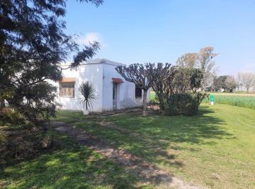 Campo · 30ha · Venta Campo Productivo Sobre Ruta 11
