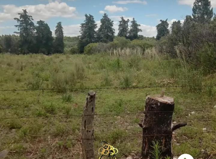 Terreno · 1200m²